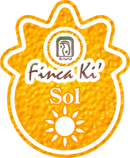 Sol room logo