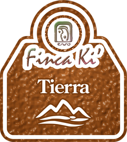 Tierra room logo
